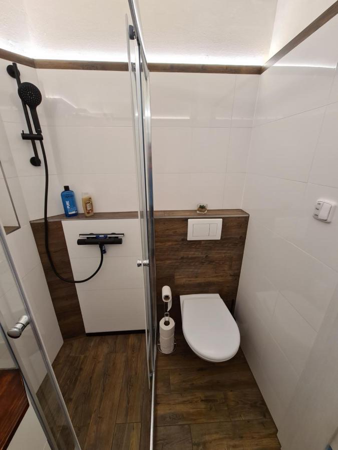 Svetly Prostorny Byt V Karline Apartment Prague Exterior photo