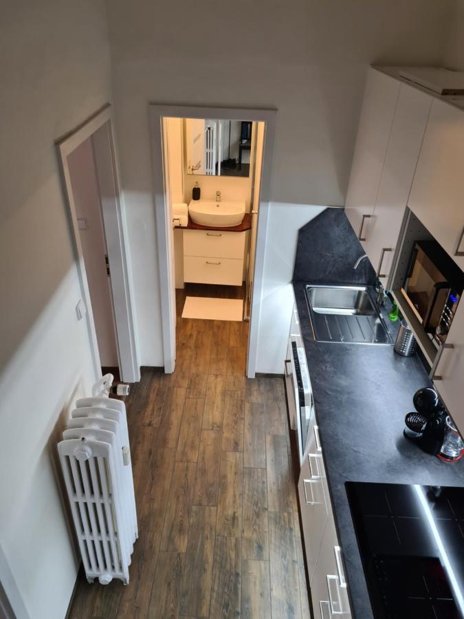 Svetly Prostorny Byt V Karline Apartment Prague Exterior photo