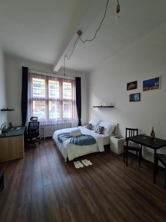 Svetly Prostorny Byt V Karline Apartment Prague Exterior photo