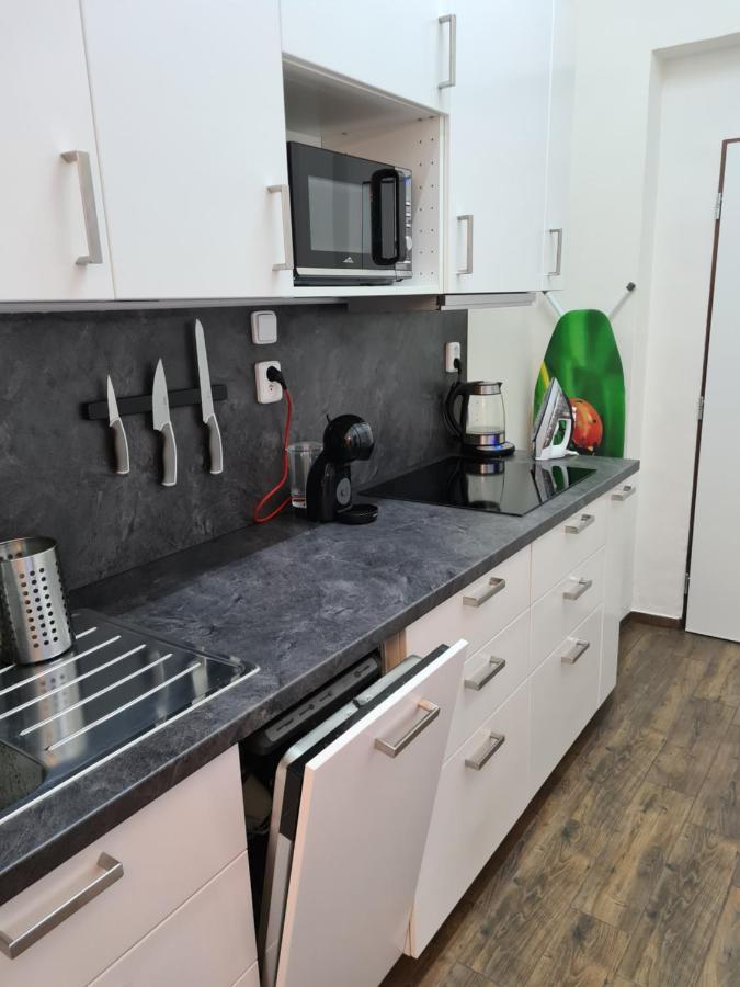 Svetly Prostorny Byt V Karline Apartment Prague Exterior photo